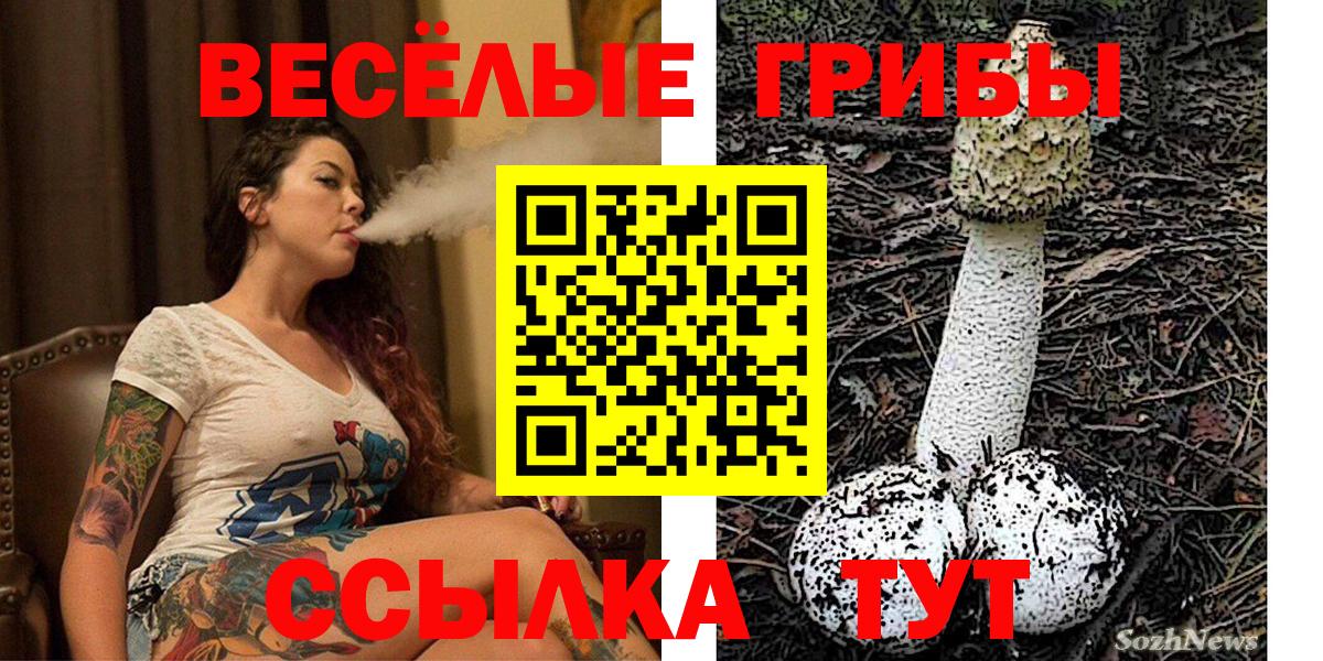 Галлюциногенные грибы Magic Shrooms  Псилоцибиновые грибы GOLDEN TEACHER  Вход с VPN  Славянск-на-Кубани 