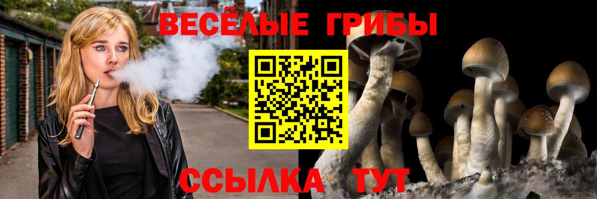 Псилоцибиновые грибы прущие грибы Славянск-на-Кубани